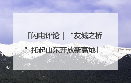 闪电评论｜“友城之桥”托起山东开放新高地
