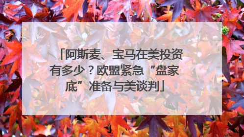 阿斯麦、宝马在美投资有多少？欧盟紧急“盘家底”准备与美谈判