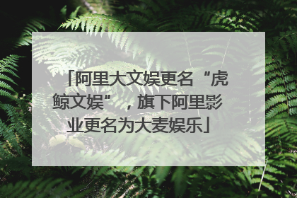阿里大文娱更名“虎鲸文娱”，旗下阿里影业更名为大麦娱乐