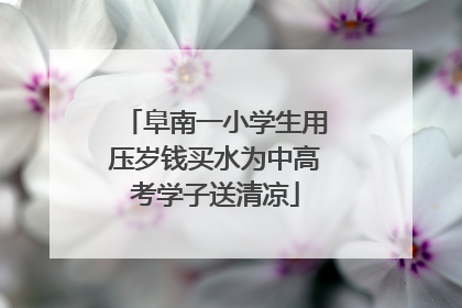 阜南一小学生用压岁钱买水为中高考学子送清凉