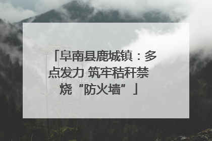 阜南县鹿城镇：多点发力 筑牢秸秆禁烧“防火墙”