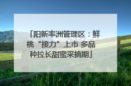 阳新率洲管理区：鲜桃“接力”上市 多品种拉长甜蜜采摘期