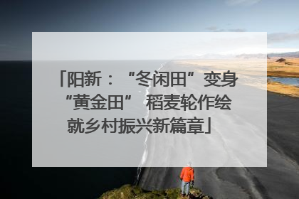 阳新：“冬闲田”变身“黄金田” 稻麦轮作绘就乡村振兴新篇章