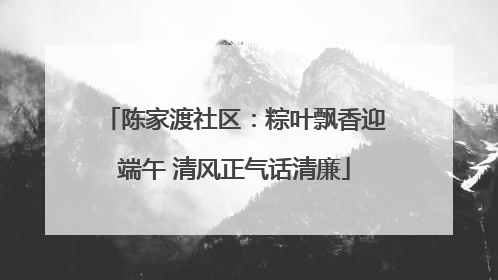 陈家渡社区：粽叶飘香迎端午 清风正气话清廉