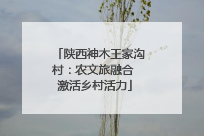陕西神木王家沟村：农文旅融合 激活乡村活力