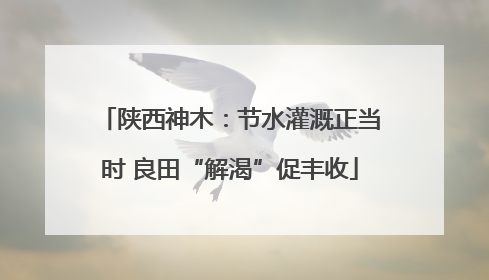 陕西神木：节水灌溉正当时 良田“解渴”促丰收