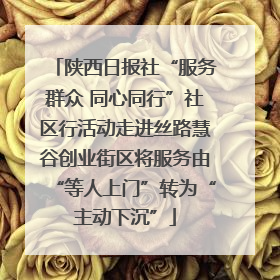 陕西日报社“服务群众 同心同行”社区行活动走进丝路慧谷创业街区将服务由“等人上门”转为“主动下沉”