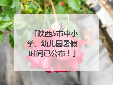 陕西5市中小学、幼儿园暑假时间已公布！