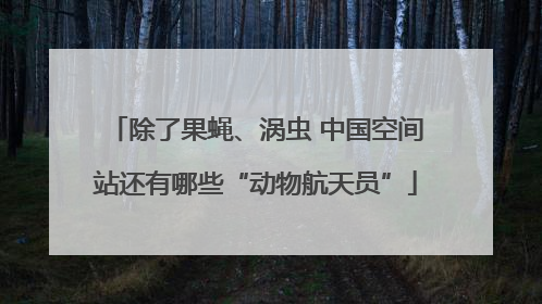 除了果蝇、涡虫 中国空间站还有哪些“动物航天员”