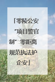 零陵公安“项目警官制”零距离规范执法护企安