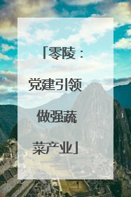 零陵：党建引领 做强蔬菜产业