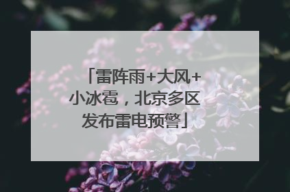 雷阵雨+大风+小冰雹，北京多区发布雷电预警