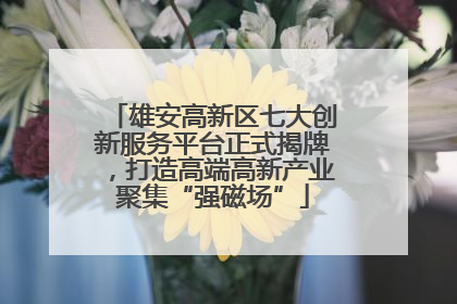 雄安高新区七大创新服务平台正式揭牌，打造高端高新产业聚集“强磁场”
