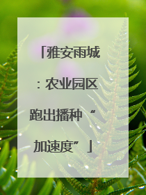 雅安雨城：农业园区跑出播种“加速度”
