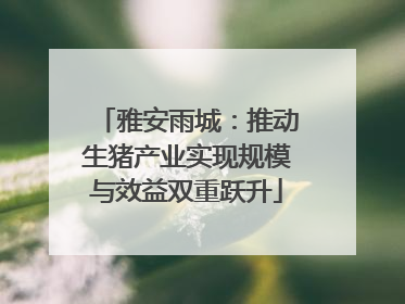 雅安雨城：推动生猪产业实现规模与效益双重跃升
