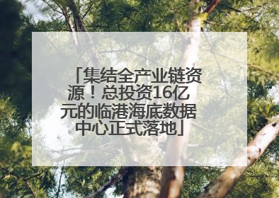 集结全产业链资源！总投资16亿元的临港海底数据中心正式落地