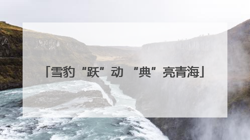 雪豹“跃”动 “典”亮青海