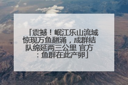 震撼！岷江乐山流域惊现万鱼翻涌，成群结队绵延两三公里 官方：鱼群在此产卵