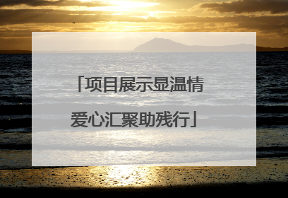项目展示显温情 爱心汇聚助残行