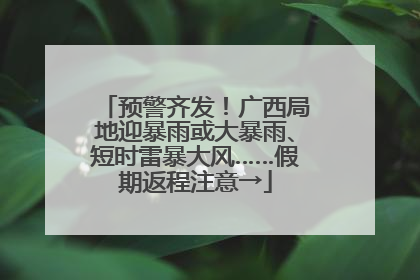 预警齐发！广西局地迎暴雨或大暴雨、短时雷暴大风……假期返程注意→