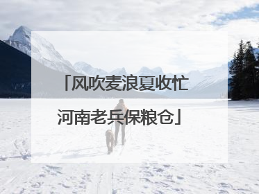 风吹麦浪夏收忙 河南老兵保粮仓