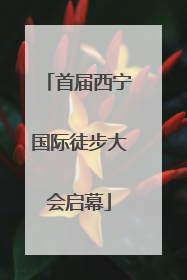 首届西宁国际徒步大会启幕