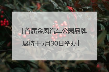 首届金凤汽车公园品牌展将于5月30日举办
