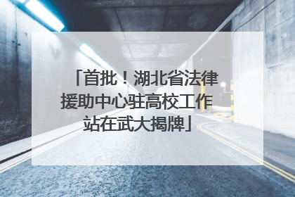 首批！湖北省法律援助中心驻高校工作站在武大揭牌