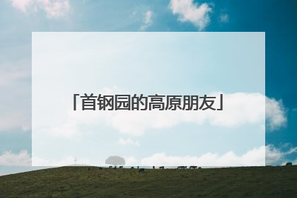首钢园的高原朋友