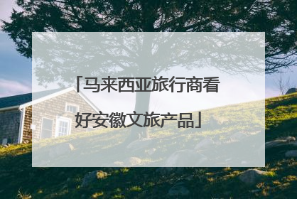 马来西亚旅行商看好安徽文旅产品