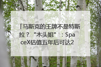 马斯克的王牌不是特斯拉？“木头姐”：SpaceX估值五年后可达2.5万亿美元！