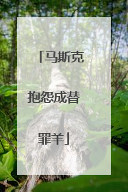 马斯克抱怨成替罪羊