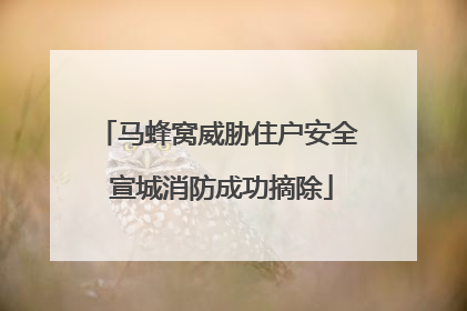 马蜂窝威胁住户安全 宣城消防成功摘除