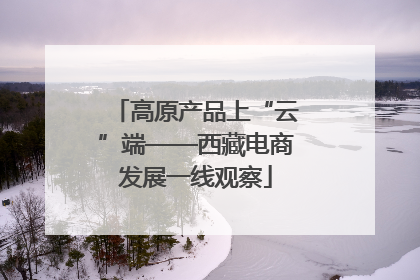 高原产品上“云”端——西藏电商发展一线观察