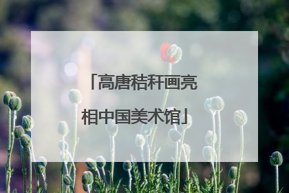 高唐秸秆画亮相中国美术馆