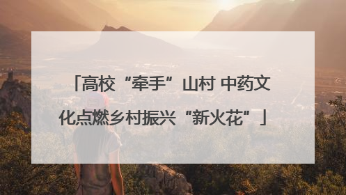 高校“牵手”山村 中药文化点燃乡村振兴“新火花”