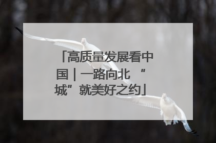 高质量发展看中国｜一路向北 “城”就美好之约