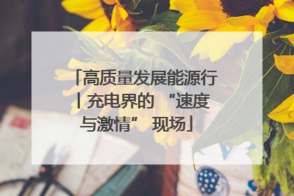 高质量发展能源行丨充电界的 “速度与激情” 现场