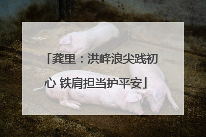 龚里：洪峰浪尖践初心 铁肩担当护平安