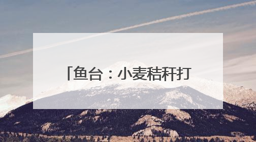 鱼台：小麦秸秆打捆离田综合利用