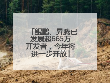 鲲鹏、昇腾已发展超665万开发者，今年将进一步开放