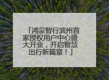 鸿蒙智行滨州首家授权用户中心盛大开业，开启智慧出行新篇章！