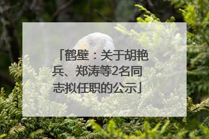 鹤壁:关于胡艳兵、郑涛等2名同志拟任职的公示
