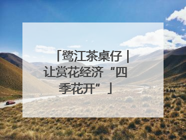 鹭江茶桌仔｜让赏花经济“四季花开”