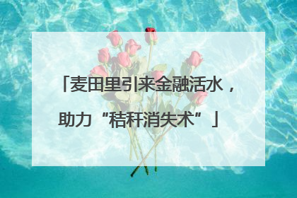 麦田里引来金融活水，助力“秸秆消失术”