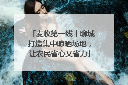 麦收第一线丨聊城打造集中晾晒场地，让农民省心又省力