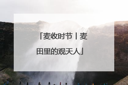 麦收时节丨麦田里的观天人