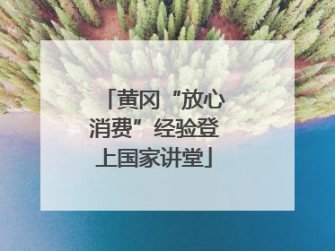 黄冈“放心消费”经验登上国家讲堂