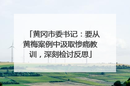 黄冈市委书记：要从黄梅案例中汲取惨痛教训，深刻检讨反思
