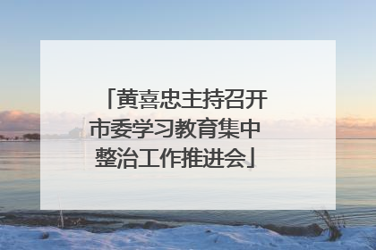 黄喜忠主持召开市委学习教育集中整治工作推进会